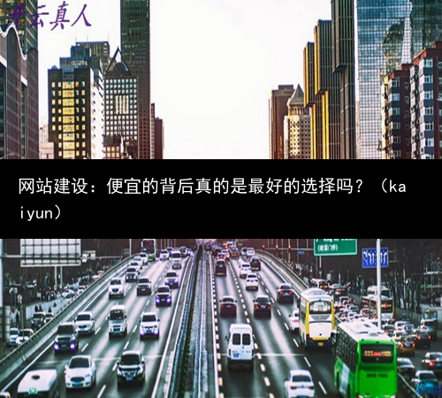 网站建设：便宜的背后真的是最好的选择吗？（kaiyun）(图3)