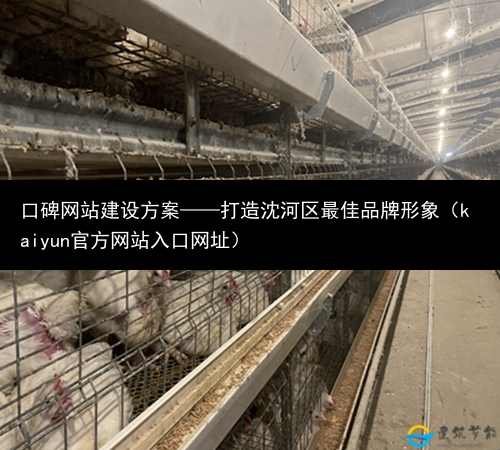 口碑网站建设方案——打造沈河区最佳品牌形象（kaiyun官方网站入口网址）(图1)