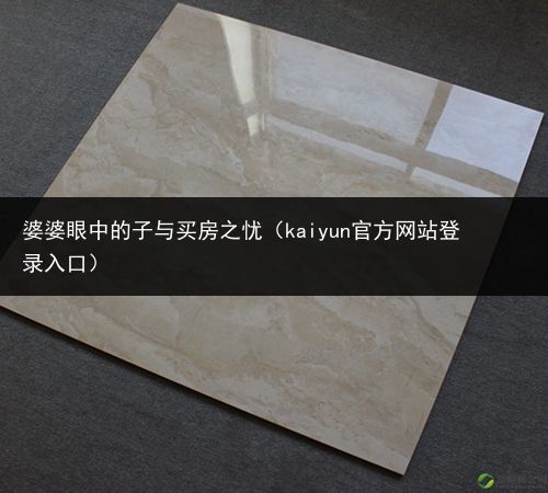 婆婆眼中的子与买房之忧（kaiyun官方网站登录入口）(图1)