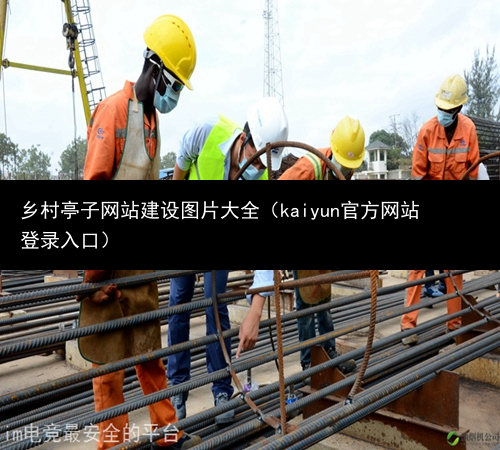 乡村亭子网站建设图片大全（kaiyun官方网站登录入口）(图3)