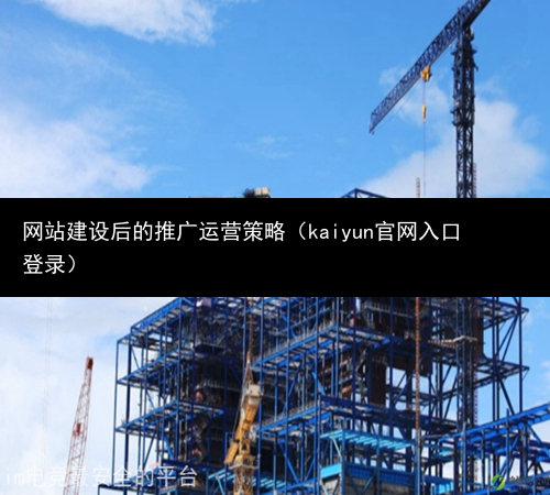 网站建设后的推广运营策略（kaiyun官网入口登录）(图1)