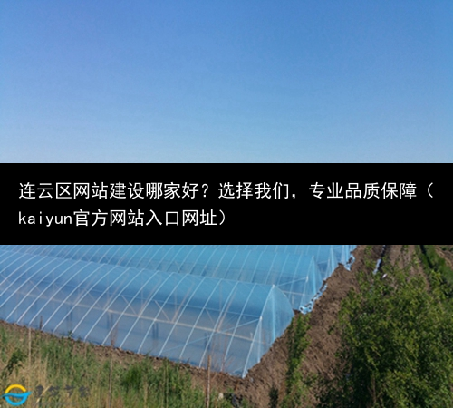 连云区网站建设哪家好？选择我们，专业品质保障（kaiyun官方网站入口网址）(图2)