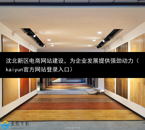 沈北新区电商网站建设，为企业发展提供强劲动力（kaiyun官方网站登录入口）(图3)