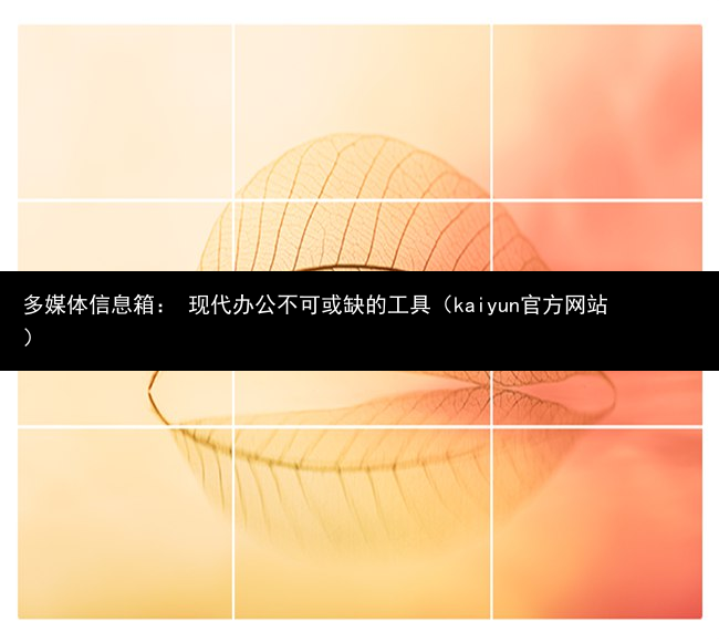 多媒体信息箱： 现代办公不可或缺的工具（kaiyun官方网站）(图1)